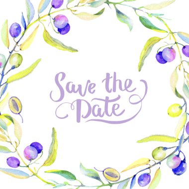 Zeytin dalı suluboya tarzında. Çerçeve kenarlığı süsleme Meydanı. Bitki tam adı: bir zeytin ağacı dalı. Arka plan, doku, sarıcı desen, çerçeve veya kenarlık için Aquarelle zeytin ağacı.