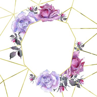 Pembe gül. Botanik çiçek. Çerçeve kenarlığı süsleme Meydanı. Arka plan, doku, sarıcı desen, çerçeve veya kenarlık için Aquarelle kır çiçeği.