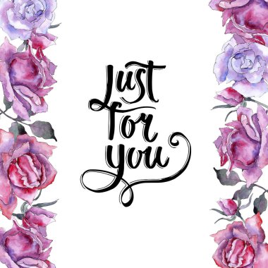 Pembe gül. Botanik çiçek. Çerçeve kenarlığı süsleme Meydanı. Arka plan, doku, sarıcı desen, çerçeve veya kenarlık için Aquarelle kır çiçeği.