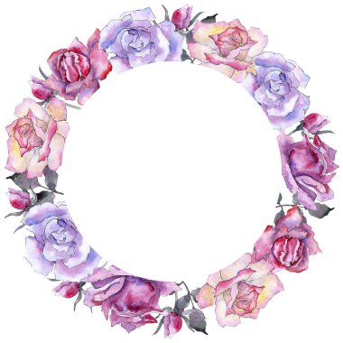 Pembe gül. Botanik çiçek. Çerçeve kenarlığı süsleme Meydanı. Arka plan, doku, sarıcı desen, çerçeve veya kenarlık için Aquarelle kır çiçeği.