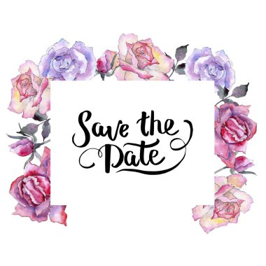 Pembe gül. Botanik çiçek. Çerçeve kenarlığı süsleme Meydanı. Arka plan, doku, sarıcı desen, çerçeve veya kenarlık için Aquarelle kır çiçeği.