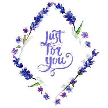 Mor lavanta. Botanik çiçek. Çerçeve kenarlığı süsleme Meydanı. Arka plan, doku, sarıcı desen, çerçeve veya kenarlık için Aquarelle kır çiçeği.