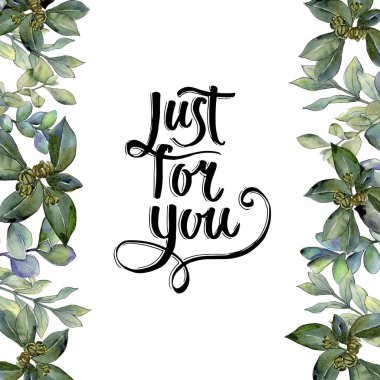 Şimşir suluboya tarzında bırakır. Çerçeve kenarlığı süsleme Meydanı. Aquarelle yaprak için arka plan, doku, sarıcı desen, çerçeve veya kenarlık.