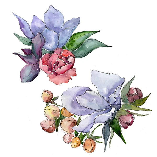 Tropikal renkli buket. Botanik çiçek. Vahşi bahar yaprak izole kır çiçeği. Arka plan, doku, sarıcı desen, çerçeve veya kenarlık için Aquarelle kır çiçeği.