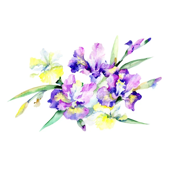 Bloom flower purple. Floral botanical flower. Wild spring leaf wildflower isolated. Aquarelle wildflower for background, texture, wrapper pattern, frame or border.