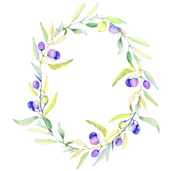 Zeytin dalı suluboya tarzında. Çerçeve kenarlığı süsleme Meydanı. Bitki tam adı: bir zeytin ağacı dalı. Arka plan, doku, sarıcı desen, çerçeve veya kenarlık için Aquarelle zeytin ağacı.