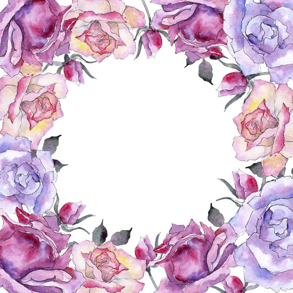 粉红色的玫瑰 花卉植物花 框边框装饰广场 包装图案 框架或边框的水彩画野花 — 图库照片