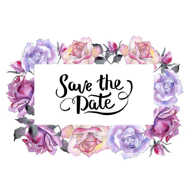 Pembe gül. Botanik çiçek. Çerçeve kenarlığı süsleme Meydanı. Arka plan, doku, sarıcı desen, çerçeve veya kenarlık için Aquarelle kır çiçeği.