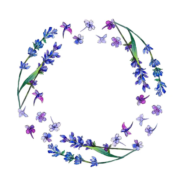 Violettem Lavendel Blütenbotanische Blume Rahmen Bordüre Ornament Quadrat Aquarell Wildblume — Stockfoto