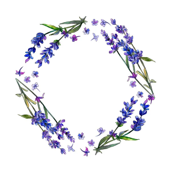 Violettem Lavendel Blütenbotanische Blume Rahmen Bordüre Ornament Quadrat Aquarell Wildblume — Stockfoto