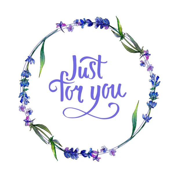 Mor lavanta. Botanik çiçek. Çerçeve kenarlığı süsleme Meydanı. Arka plan, doku, sarıcı desen, çerçeve veya kenarlık için Aquarelle kır çiçeği.