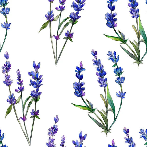 Violet lavender. Floral botanical flower.Seamless background pattern. Fabric wallpaper print texture. Aquarelle wildflower for background, texture, wrapper pattern, frame or border.