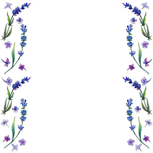 Fialové Levandule Květinové Botanické Květin Frame Hranice Ozdoba Náměstí Aquarelle — Stock fotografie