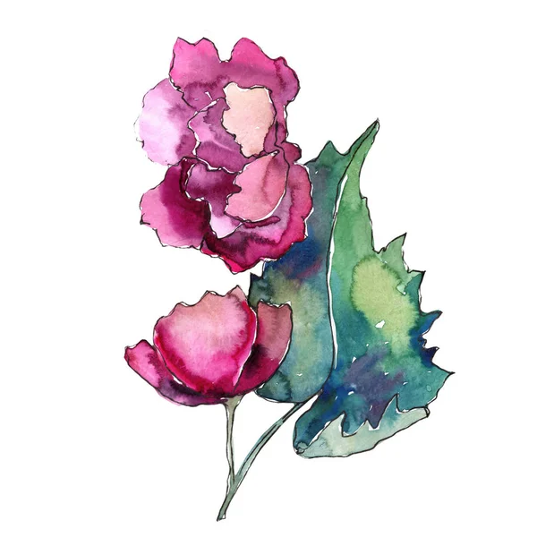 Ροζ Γαρδένια Floral Βοτανικό Λουλούδι Άγρια Άνοιξη Φύλλων Wildflower Απομονωμένη — Φωτογραφία Αρχείου