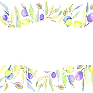 Zeytin dalı suluboya tarzında. Çerçeve kenarlığı süsleme Meydanı. Bitki tam adı: bir zeytin ağacı dalı. Arka plan, doku, sarıcı desen, çerçeve veya kenarlık için Aquarelle zeytin ağacı.