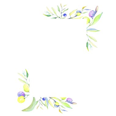 Zeytin dalı suluboya tarzında. Çerçeve kenarlığı süsleme Meydanı. Bitki tam adı: bir zeytin ağacı dalı. Arka plan, doku, sarıcı desen, çerçeve veya kenarlık için Aquarelle zeytin ağacı.