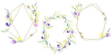 Zeytin dalı suluboya tarzında. Çerçeve kenarlığı süsleme Meydanı. Bitki tam adı: bir zeytin ağacı dalı. Arka plan, doku, sarıcı desen, çerçeve veya kenarlık için Aquarelle zeytin ağacı.