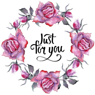 Pembe gül. Botanik çiçek. Çerçeve kenarlığı süsleme Meydanı. Arka plan, doku, sarıcı desen, çerçeve veya kenarlık için Aquarelle kır çiçeği.