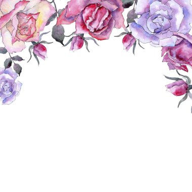 Pembe gül. Botanik çiçek. Çerçeve kenarlığı süsleme Meydanı. Arka plan, doku, sarıcı desen, çerçeve veya kenarlık için Aquarelle kır çiçeği.