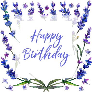 Mor lavanta. Botanik çiçek. Çerçeve kenarlığı süsleme Meydanı. Arka plan, doku, sarıcı desen, çerçeve veya kenarlık için Aquarelle kır çiçeği.