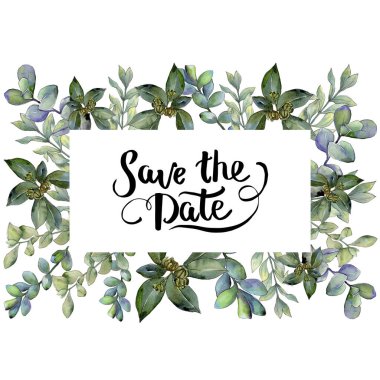 Şimşir suluboya tarzında bırakır. Çerçeve kenarlığı süsleme Meydanı. Aquarelle yaprak için arka plan, doku, sarıcı desen, çerçeve veya kenarlık.