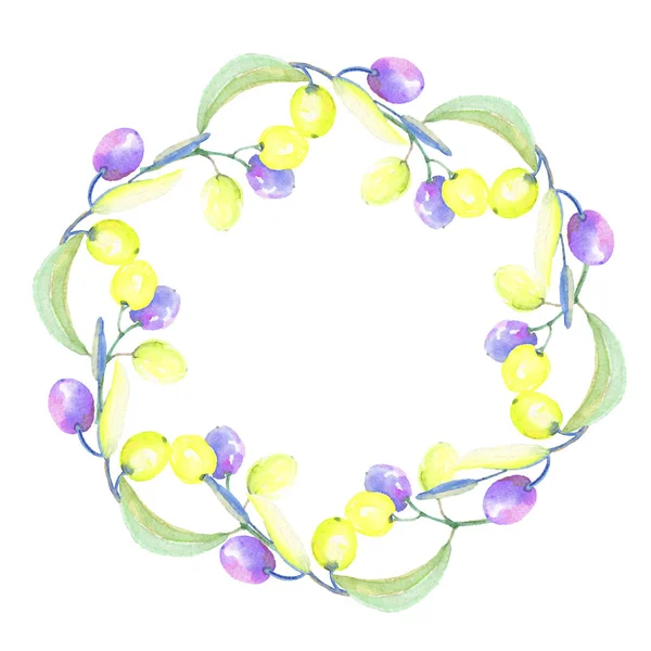 Zeytin dalı suluboya tarzında. Çerçeve kenarlığı süsleme Meydanı. Bitki tam adı: bir zeytin ağacı dalı. Arka plan, doku, sarıcı desen, çerçeve veya kenarlık için Aquarelle zeytin ağacı.