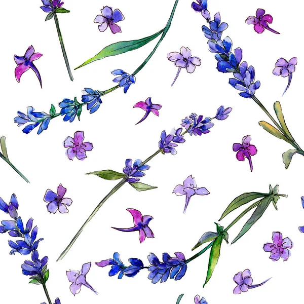 Violeta Lavanda Flor Botánica Floral Patrón Fondo Sin Costuras Textura —  Fotos de Stock