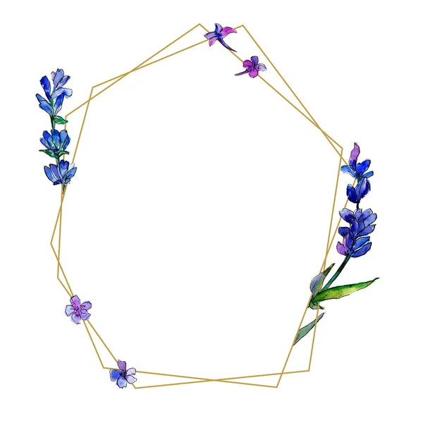 Paarse Lavendel Floral Botanische Bloem Frame Grens Ornament Vierkant Aquarelle — Stockfoto