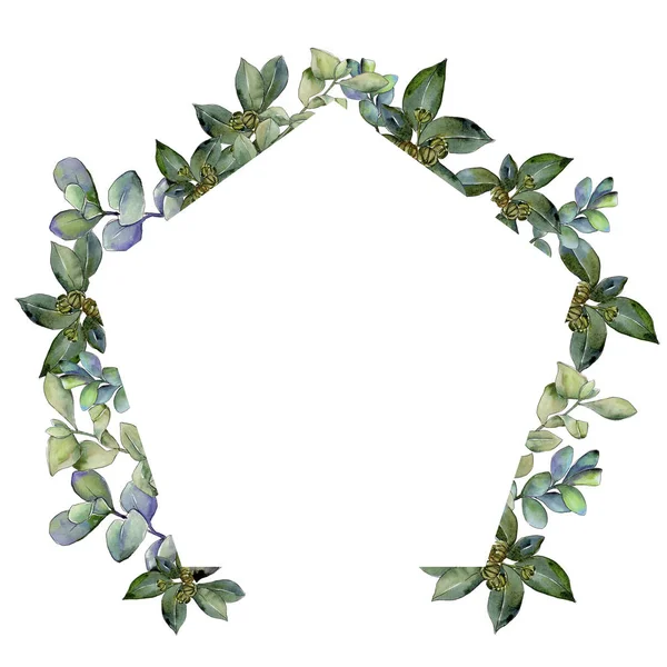 Şimşir suluboya tarzında bırakır. Çerçeve kenarlığı süsleme Meydanı. Aquarelle yaprak için arka plan, doku, sarıcı desen, çerçeve veya kenarlık.