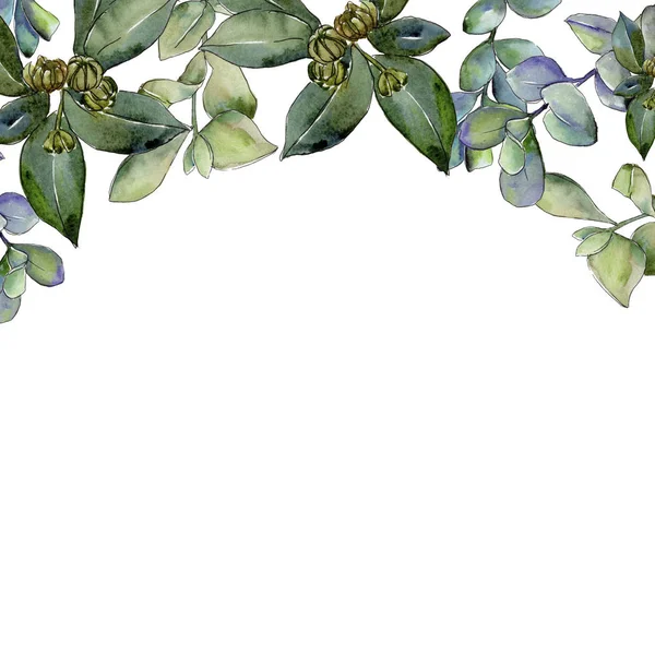 Şimşir suluboya tarzında bırakır. Çerçeve kenarlığı süsleme Meydanı. Aquarelle yaprak için arka plan, doku, sarıcı desen, çerçeve veya kenarlık.