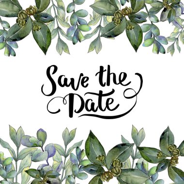 Şimşir suluboya tarzında bırakır. Çerçeve kenarlığı süsleme Meydanı. Aquarelle yaprak için arka plan, doku, sarıcı desen, çerçeve veya kenarlık.