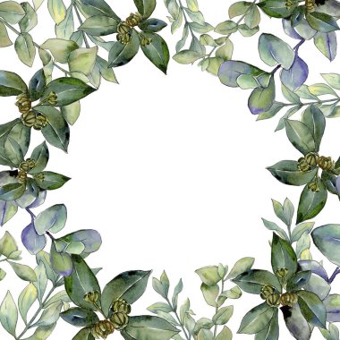 Şimşir suluboya tarzında bırakır. Çerçeve kenarlığı süsleme Meydanı. Aquarelle yaprak için arka plan, doku, sarıcı desen, çerçeve veya kenarlık.