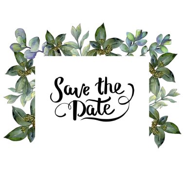 Şimşir suluboya tarzında bırakır. Çerçeve kenarlığı süsleme Meydanı. Aquarelle yaprak için arka plan, doku, sarıcı desen, çerçeve veya kenarlık.