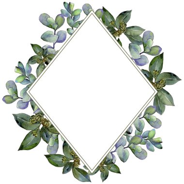 Şimşir suluboya tarzında bırakır. Çerçeve kenarlığı süsleme Meydanı. Aquarelle yaprak için arka plan, doku, sarıcı desen, çerçeve veya kenarlık.