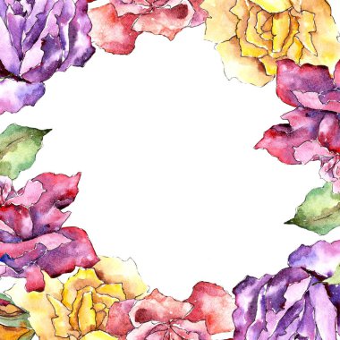 Renkli gül. Botanik çiçek. Çerçeve kenarlığı süsleme Meydanı. Arka plan, doku, sarıcı desen, çerçeve veya kenarlık için Aquarelle kır çiçeği.