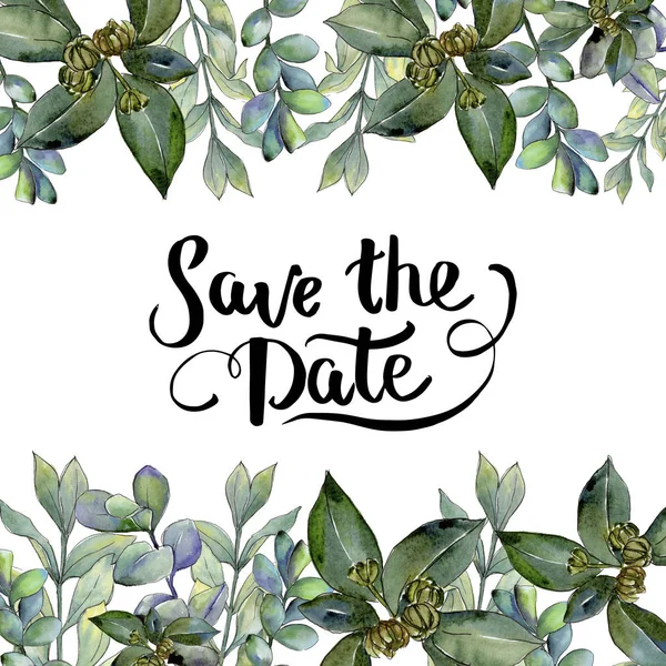 Şimşir suluboya tarzında bırakır. Çerçeve kenarlığı süsleme Meydanı. Aquarelle yaprak için arka plan, doku, sarıcı desen, çerçeve veya kenarlık.