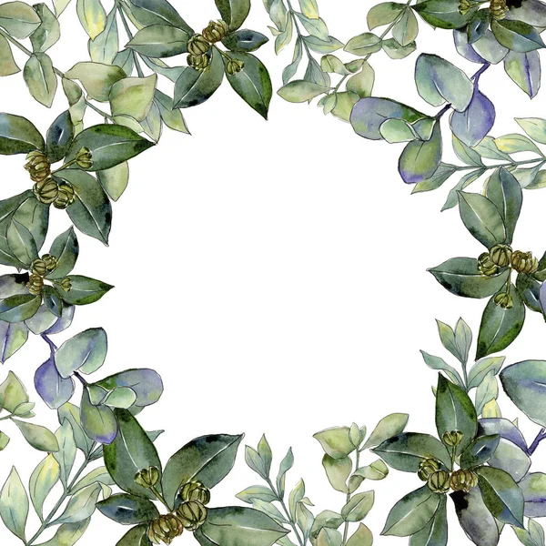 Şimşir suluboya tarzında bırakır. Çerçeve kenarlığı süsleme Meydanı. Aquarelle yaprak için arka plan, doku, sarıcı desen, çerçeve veya kenarlık.