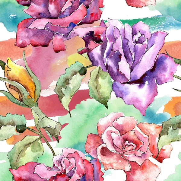 Renkli gül. Botanik çiçek. Sorunsuz arka plan deseni. Kumaş duvar kağıdı yazdırma doku. Arka plan, doku, sarıcı desen, çerçeve veya kenarlık için Aquarelle kır çiçeği.