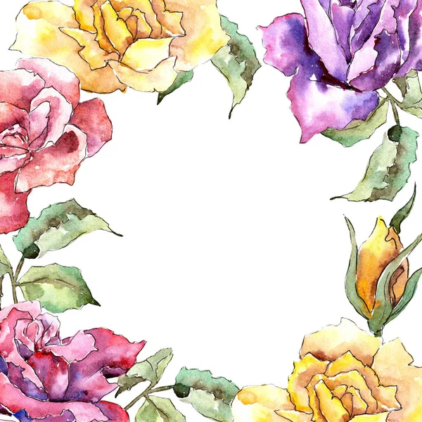 Rosa Colorata Fiore Botanico Floreale Quadrato Ornamento Bordo Cornice Fiordaliso — Foto Stock