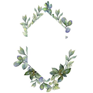 Şimşir suluboya tarzında bırakır. Çerçeve kenarlığı süsleme Meydanı. Aquarelle yaprak için arka plan, doku, sarıcı desen, çerçeve veya kenarlık.