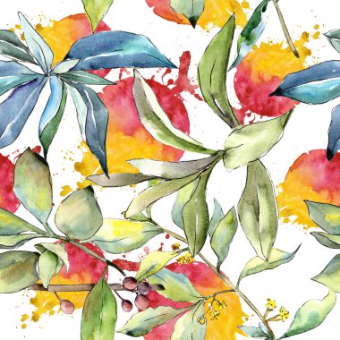 İğde suluboya tarzında bırakır. Sorunsuz arka plan deseni. Kumaş duvar kağıdı yazdırma doku. Aquarelle yaprak için arka plan, doku, sarıcı desen, çerçeve veya kenarlık.