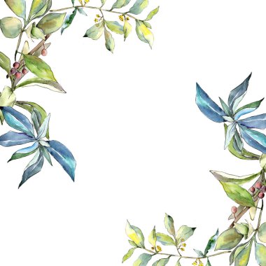 İğde suluboya tarzında bırakır. Çerçeve kenarlığı süsleme Meydanı. Aquarelle yaprak için arka plan, doku, sarıcı desen, çerçeve veya kenarlık.