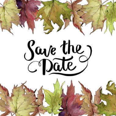 Akçaağaç suluboya tarzında bırakır. Çerçeve kenarlığı süsleme Meydanı. Aquarelle yaprak için arka plan, doku, sarıcı desen, çerçeve veya kenarlık.