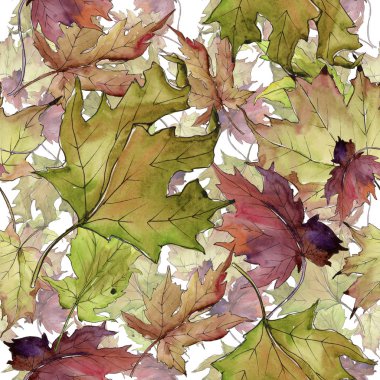 Akçaağaç suluboya tarzında bırakır. Sorunsuz arka plan deseni. Kumaş duvar kağıdı yazdırma doku. Aquarelle yaprak için arka plan, doku, sarıcı desen, çerçeve veya kenarlık.