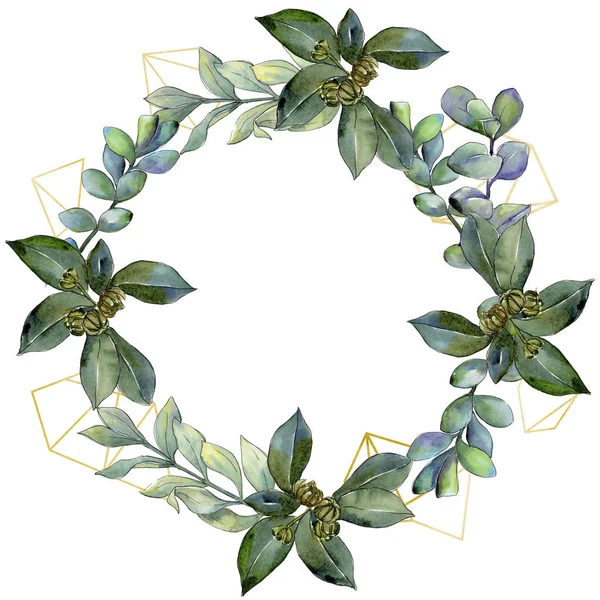 Şimşir suluboya tarzında bırakır. Çerçeve kenarlığı süsleme Meydanı. Aquarelle yaprak için arka plan, doku, sarıcı desen, çerçeve veya kenarlık.