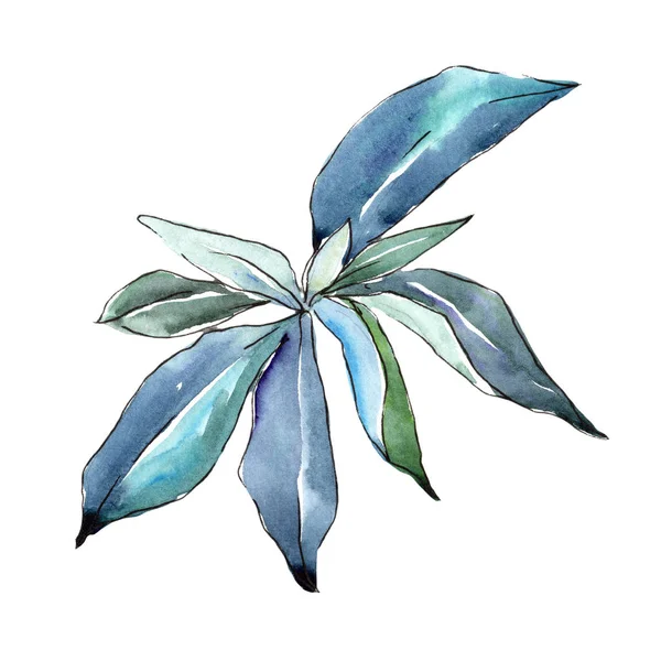 Elaeagnus Blättert Isoliert Aquarellfarbenen Stil Aquarellblatt Für Hintergrund Textur Wickelmuster — Stockfoto