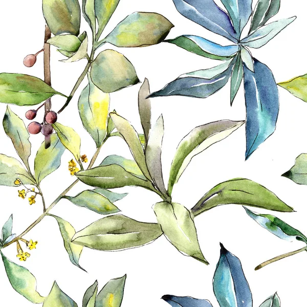 İğde suluboya tarzında bırakır. Sorunsuz arka plan deseni. Kumaş duvar kağıdı yazdırma doku. Aquarelle yaprak için arka plan, doku, sarıcı desen, çerçeve veya kenarlık.