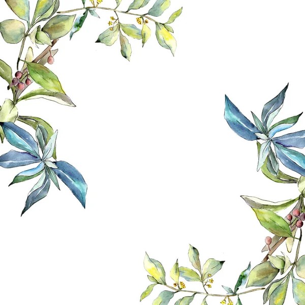 İğde suluboya tarzında bırakır. Çerçeve kenarlığı süsleme Meydanı. Aquarelle yaprak için arka plan, doku, sarıcı desen, çerçeve veya kenarlık.