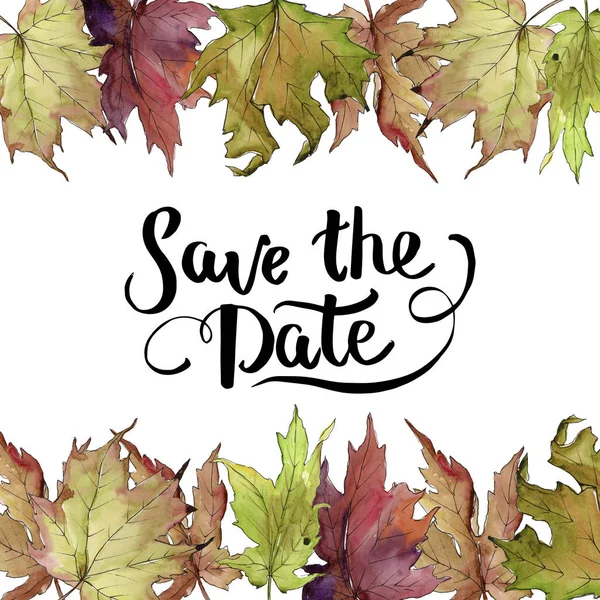 Akçaağaç suluboya tarzında bırakır. Çerçeve kenarlığı süsleme Meydanı. Aquarelle yaprak için arka plan, doku, sarıcı desen, çerçeve veya kenarlık.