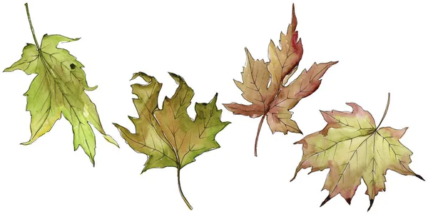 메이플 수채화 스타일에 나뭇잎 프레임 테두리에 — 스톡 사진